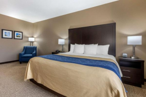 Отель Comfort Inn & Suites North Little Rock McCain Mall  Норт Литтл Рок